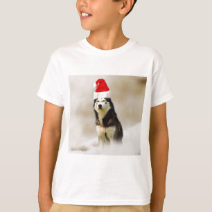 Siberischer Husky-Hund mit Weihnachtsmannmütze im T-Shirt