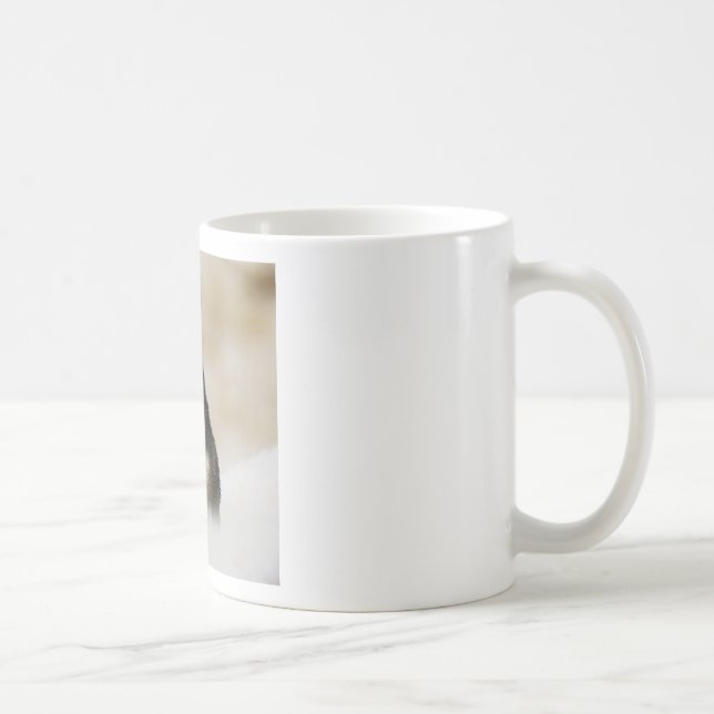 Siberischer Husky-Hund mit Weihnachtsmannmütze im  Tasse (Rechts)