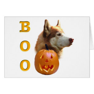 Siberischer Husky (rot) Boo