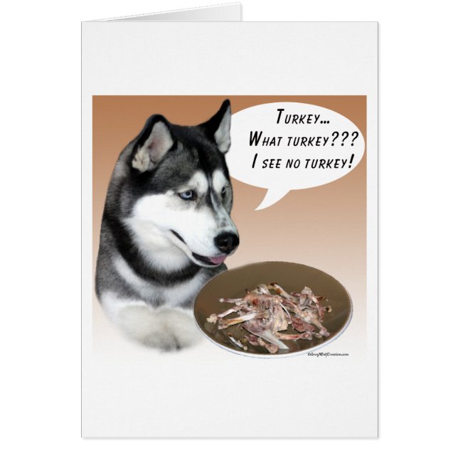 Siberischer Husky (schwarz) Türkei (Vorne)