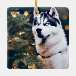 Siberischer Husky unter Weihnachtsbaum Keramikornament