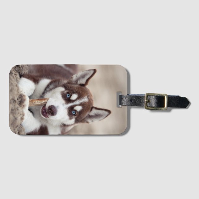 Siberischer Husky-Welpe am Strand Gepäckanhänger (Vorderseite (Horizontal))