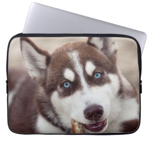 Siberischer Husky-Welpe am Strand Laptopschutzhülle