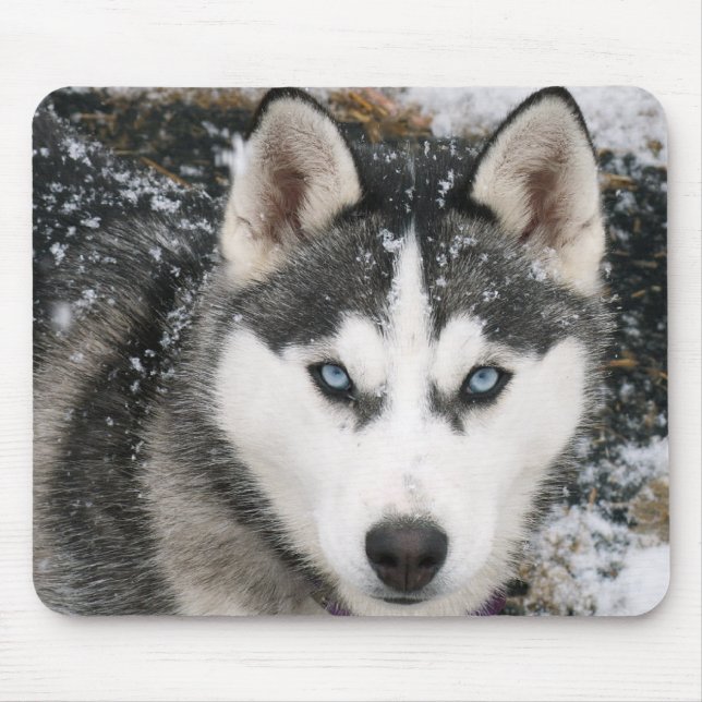 Siberischer Husky Welpe Hund in Snow Mousepad (Vorne)