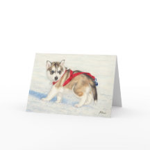 Siberischer Husky-Welpe im Schnee