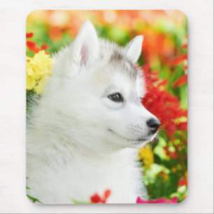 Siberischer Husky-Welpe in Blume Mousepad