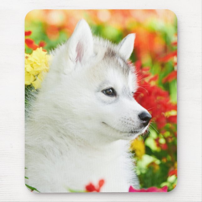 Siberischer Husky-Welpe in Blume Mousepad (Vorne)