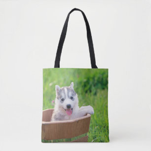Siberischer Husky-Welpe in einer Hülle
