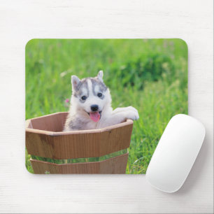 Siberischer Husky-Welpe in einer Hülle Mousepad