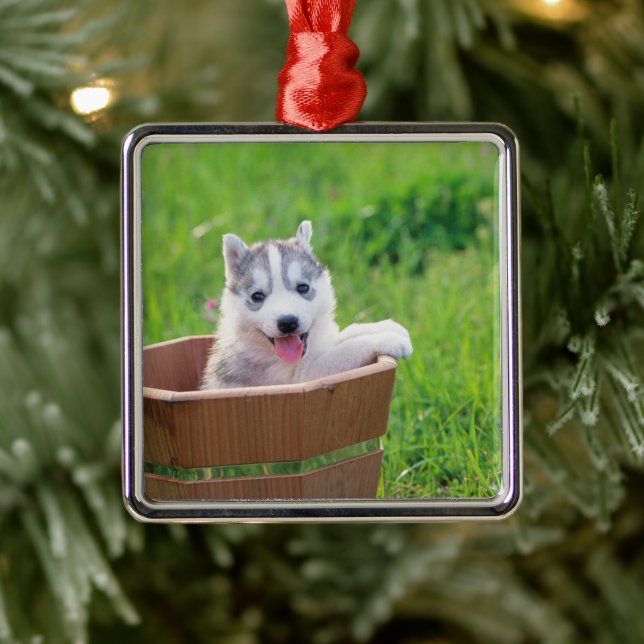 Siberischer Husky-Welpe in einer Hülle Ornament Aus Metall (Baum)