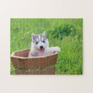Siberischer Husky-Welpe in einer Hülle Puzzle