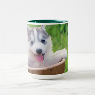 Siberischer Husky-Welpe in einer Hülle Tasse