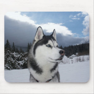 Siberischer Husky Welpenhund Winterschneemuse Mousepad