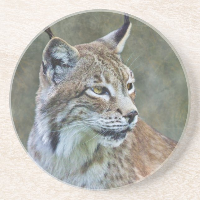 Siberischer Lynx-Untersetzer Sandstein Untersetzer (Vorne)