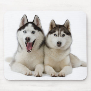 Sibirian Husky-Welpen-Mauspad Mousepad
