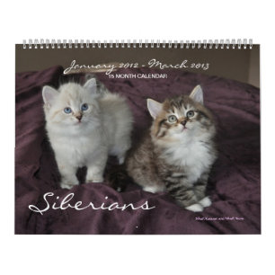 Sibirians Cats Kittens 2012 - 2013 Kalender