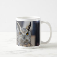 Sibirische Adler-Eulen-nahe hohe Kaffee-Tasse