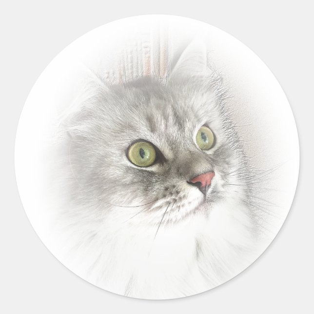 Sibirische Augen-Aufkleber Runder Aufkleber (Vorderseite)