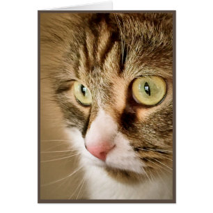 Sibirische Gedanken (leere Karte)