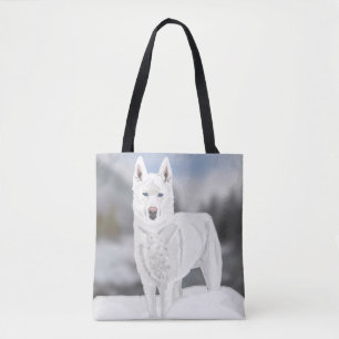 Sibirische Husky