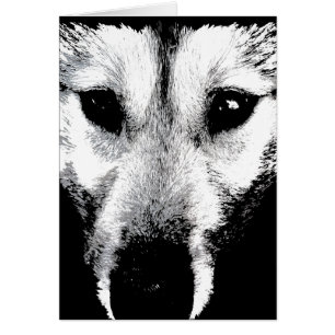 Sibirische Husky Card Malamute Wolf Hundkarte