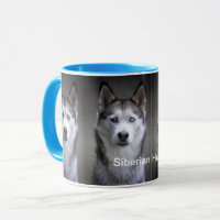 Sibirische Husky-Combo-Tasse