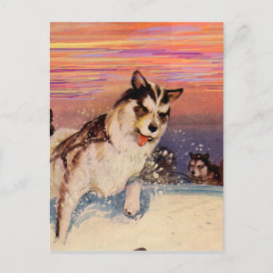 Sibirische Husky-Hunde in den 40er Jahren machen i Postkarte