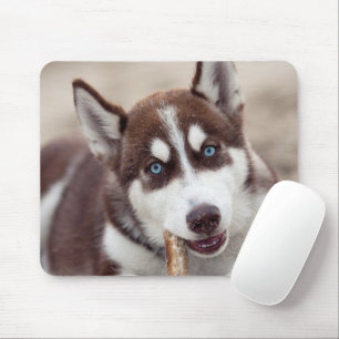 Sibirische Husky-Welpe am Strand Mousepad