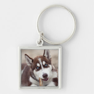 Sibirische Husky-Welpe am Strand Schlüsselanhänger