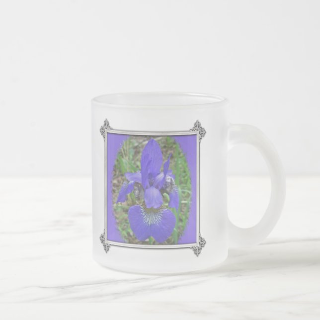 Sibirische Iris-Wildblume - Iris sibirica Mattglastasse (Rechts)