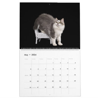 Sibirische Kätzchen-Kalender Kalender