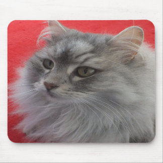 Sibirische Katze Mousepad