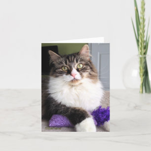 Sibirische Katzen-Anmerkungs-Karte Karte