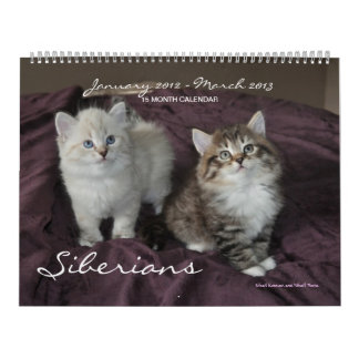Sibirische Katzen - Kätzchen 2012 - Kalender 2013