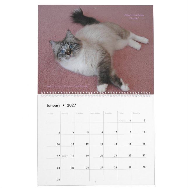 Sibirische Katzen - Kätzchen 2012 - Kalender 2013 (Jan 2027)
