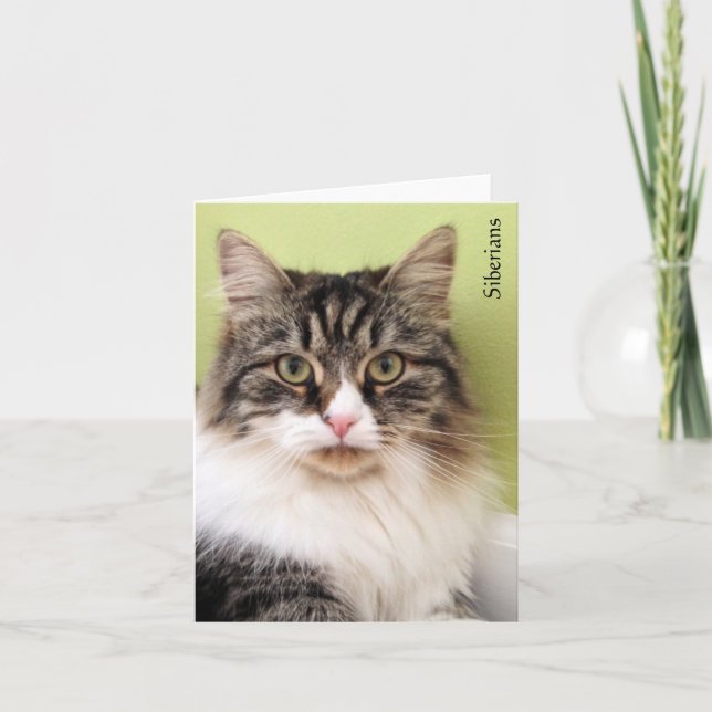 Sibirische Magie-Mitteilungskarten Karte (Vorderseite)