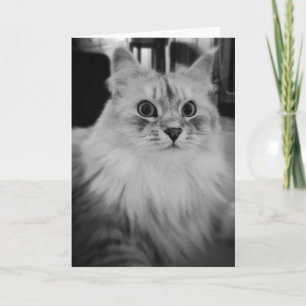 Sibirische magische Mitteilungskarten