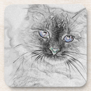 Sibirische Miezekatze-Katze, die auf der Getränkeuntersetzer