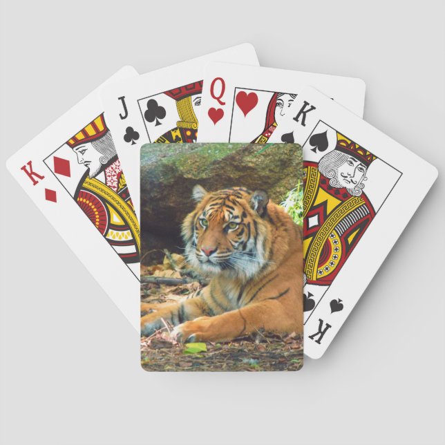 Sibirische Tiger Spielkarten (Rückseite)