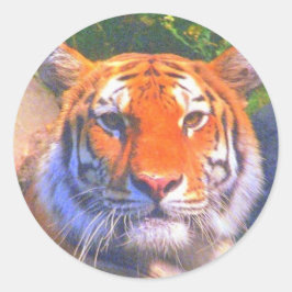 Sibirische Tiger-Sticker Runder Aufkleber