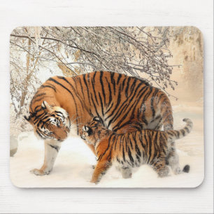 Sibirische Tigermutter und Kitten Mousepad