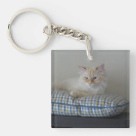 Sibirische Waldkatze (Doppeltes versah) mit Seiten Schlüsselanhänger