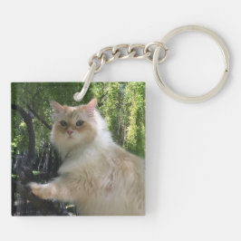 Sibirische Waldkatze (Doppeltes versah) mit Seiten Schlüsselanhänger