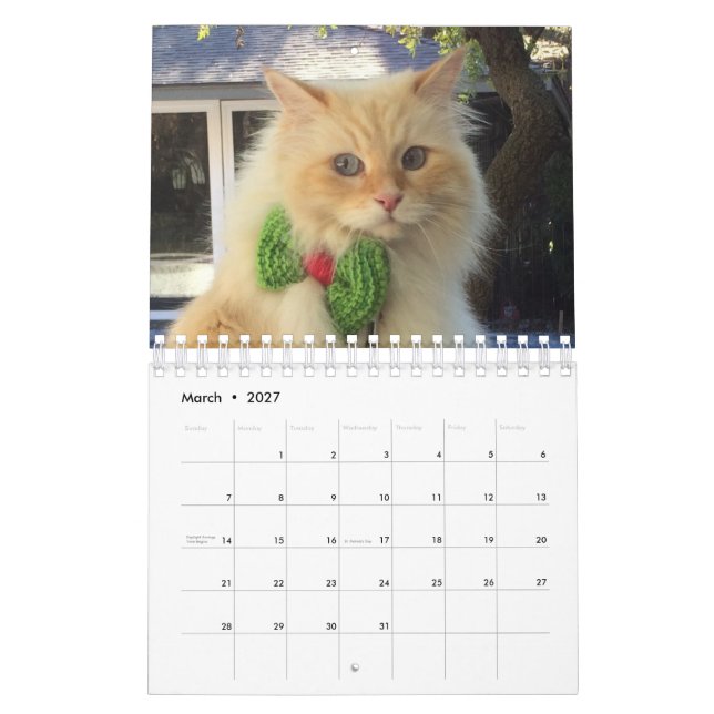 Sibirische Waldkatze Kalender (Mär 2027)