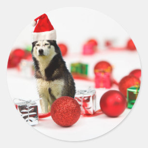 Sibirische Weihnachtsfeiertage mit Ornament-Gesche Runder Aufkleber