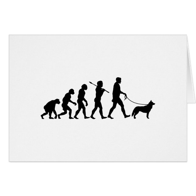 Sibirischer Husky (Vorderseite (Horizontal))