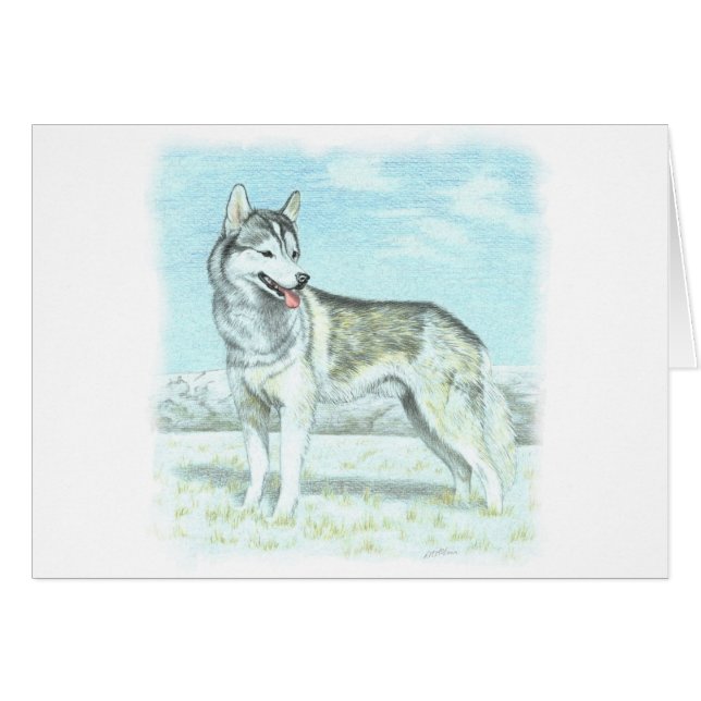 Sibirischer Husky (Vorderseite (Horizontal))