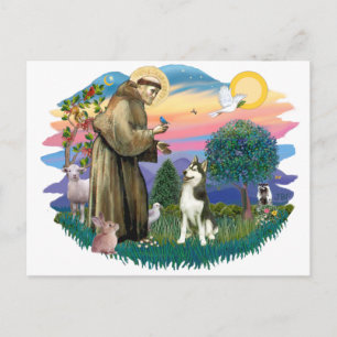 Sibirischer Husky (#3) Postkarte