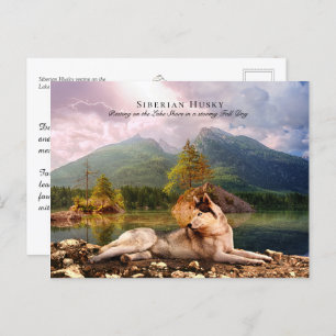 Sibirischer Husky am Lakeshore im Herbst - Sammeln Postkarte