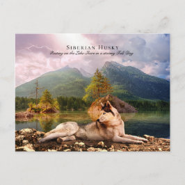 Sibirischer Husky am Lakeshore im Herbst - Sammeln Postkarte